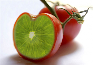 Le gouvernement va r&eacute;habiliter le Hall technologique de l&rsquo;Ecole Sup&eacute;rieure d&rsquo;Agronomie