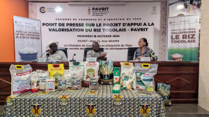Fili&egrave;re rizicole : comment la CCI-Togo compte appuyer les acteurs