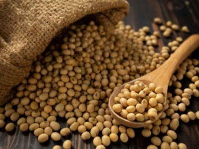 togo-calls-on-organic-producers-to-align-with-updated-european-and-american-certification-requirements