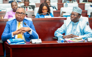 R&eacute;glementation de l&rsquo;activit&eacute; maritime : le Togo adh&egrave;re &agrave; deux conventions internationales