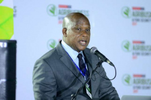 Le Nirsal nig&eacute;rian a le vent en poupe, le Mifa togolais met le cap