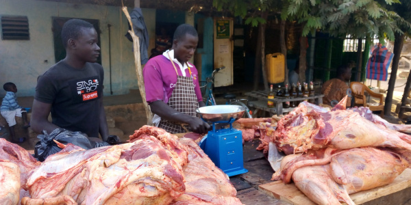 Togo: Government to hold general assemblies to tackle the shortfall in meat production
