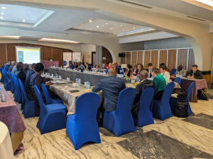 Coop&eacute;ration : les n&eacute;gociations bilat&eacute;rales entre le Togo et l&rsquo;Allemagne d&eacute;marrent