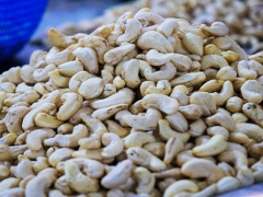 Togo introduces new rules requiring part of cashew supply to go to local processors