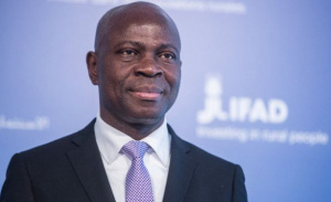 Togo : Vers un appui du Fonds International pour le D&eacute;veloppement Agricole au MIFA