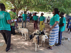 A Ando Ap&eacute;dom&eacute;, comment le WACA ResIP contribue &agrave; l&rsquo;inclusion &eacute;conomique