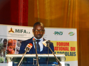 Togo&nbsp;: ces progr&egrave;s agricoles de la d&eacute;cennie