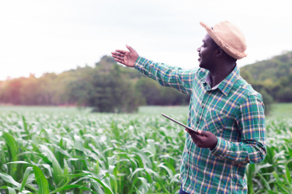 Togo : un projet d’investissements agricoles massifs en 2021