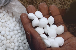 Le West Africa Fertilizer Forum aura lieu &agrave; Lom&eacute; du 24 au 26 avril