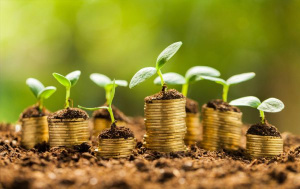 Rencontre r&eacute;gionale sur la Finance Climat &agrave; Lom&eacute;