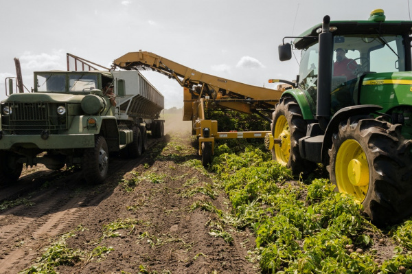 ﻿The national agricultural transformation agency of Togo should be operational next month