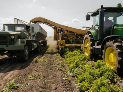 the-national-agricultural-transformation-agency-of-togo-should-be-operational-next-month