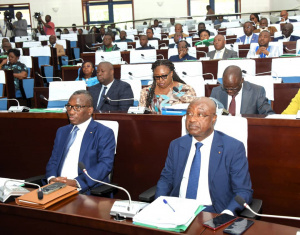 Togo Adopts New Law to Strengthen Anti-Money Laundering Rules