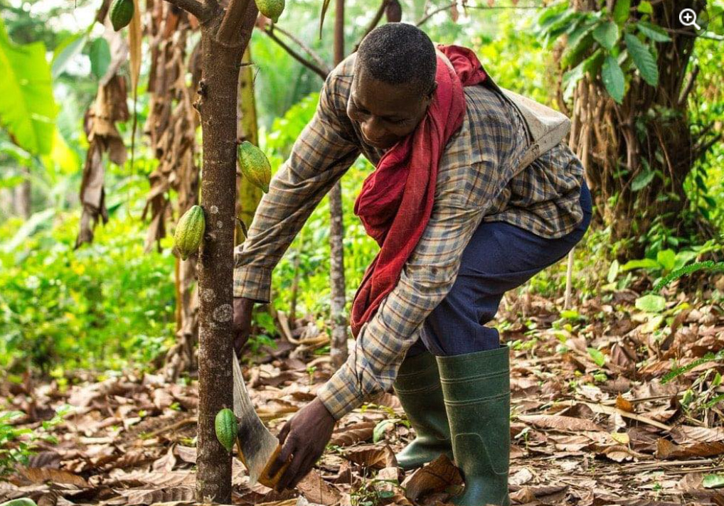 Togo :  l’activité économique a progressé de 6,3 % au 3è trimestre 2024