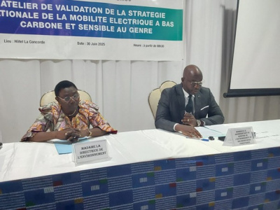 togo-l-etat-vise-30-de-vehicules-electriques-dans-les-immatriculations-neuves-d-ici-a-2030