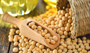 Togo’s Soybean Sector Targets 500,000 Tons Production by 2026