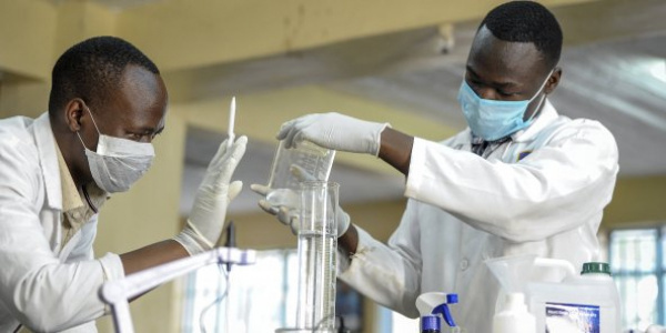 Covid-19: the University of Lomé will commence human trials for a locally developed treatment next September