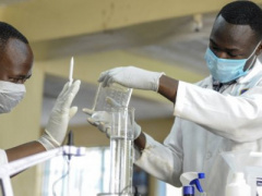 Covid-19: the University of Lomé will commence human trials for a locally developed treatment next September