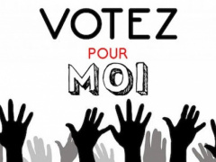 Togo: Campaign for upcoming regional and legislative polls begins