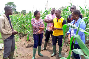 En 2 ans et demi, le PAIEJ-SP a cr&eacute;&eacute; 14 225 emplois directs