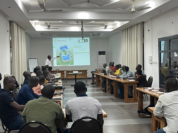 Développement de la filière rizicole : le Togo mise sur l’application RiceAdvice