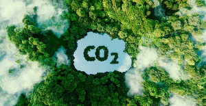 Climat : &agrave; Kpalim&eacute;, des acteurs se forment &agrave; une meilleure estimation du bilan carbone