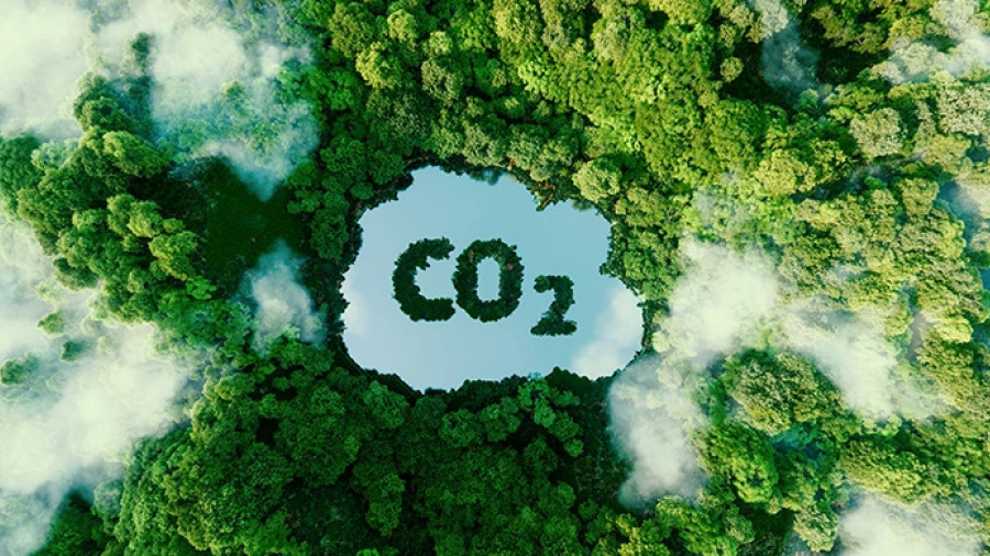 Climat : à Kpalimé, des acteurs se forment à une meilleure estimation du bilan carbone