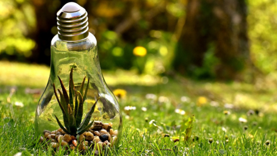 Le PNUD lance un appel à projets pour soutenir les initiatives environnementales au Togo