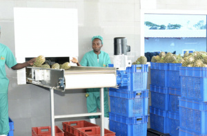 Au Togo, l&rsquo;OCDE va examiner les politiques de transformation &eacute;conomique