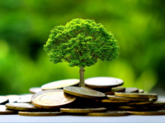 BOAD Secures $535 Million Guarantee for Green Initiatives in West Africa