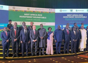 Afrique de l&rsquo;Ouest : pour son autosuffisance, la fili&egrave;re riz recherche de nouveaux investissements