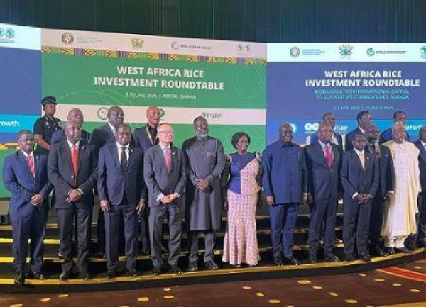 Afrique de l&rsquo;Ouest : pour son autosuffisance, la fili&egrave;re riz recherche de nouveaux investissements