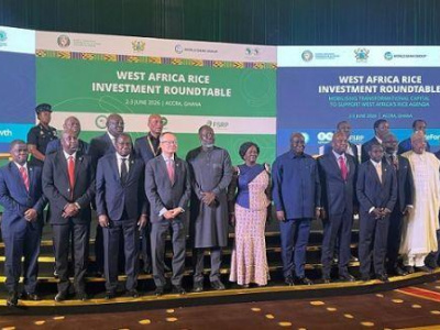 afrique-de-l-ouest-pour-son-autosuffisance-la-filiere-riz-recherche-de-nouveaux-investissements