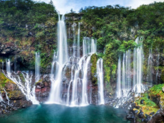 Togo&#039;s tourism regulation is being updated