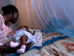 Togo: Over 6.6 million treated mosquito nets distributed in 2023