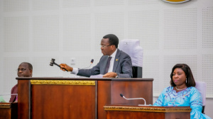 Togo: National Assembly Concludes First Session of 2025