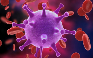 Lutte contre le SIDA : un projet d'appui aux couches vuln&eacute;rables dans les tuyaux