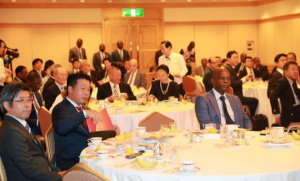Togolese authorities prepare for post-TICAD7
