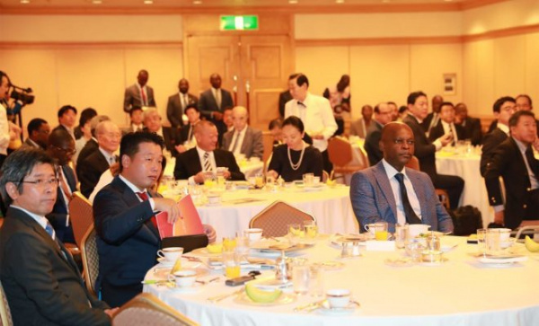 Togolese authorities prepare for post-TICAD7