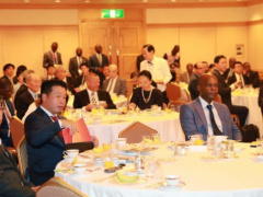 Togolese authorities prepare for post-TICAD7