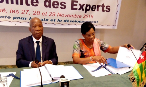 Depuis Lomé, la 15ème session ordinaire du Conseil de l’Entente planche sur des projets d’électrification rurale