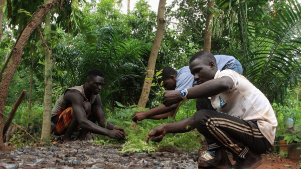WACA ResIP: un pied dans la préservation des forêts au Sud côtier togolais