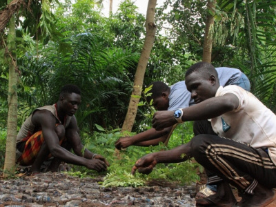 waca-resip-un-pied-dans-la-preservation-des-forets-au-sud-cotier-togolais