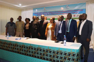 Op&eacute;rationnalisation de la Zlecaf : le Togo revisite ses engagements