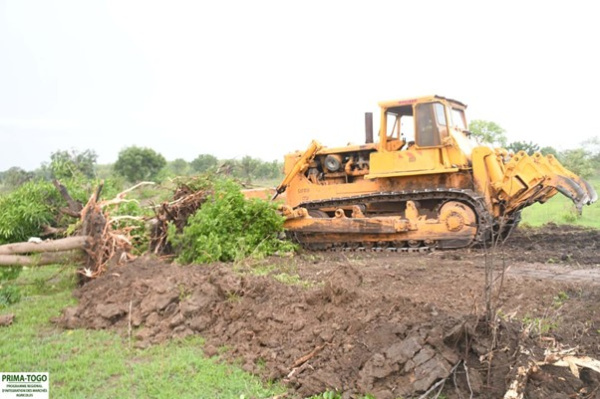 Togo : le FIDA renforce l&rsquo;ex&eacute;cution de PRIMA, avec de nouveaux investissements agricoles attendus en 2026
