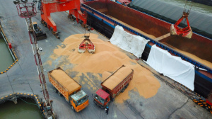 Togo: Authorities plan to open a single desk for the exportation of soybeans at the autonomous port of Lom&eacute;