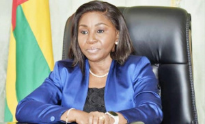 Le Togo pr&eacute;sente ses opportunit&eacute;s d&rsquo;investissement aux op&eacute;rateurs &eacute;conomiques am&eacute;ricains