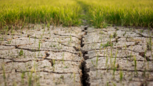 Togo: Losses induced by climate hazards stood at CFA26 billion in 2020