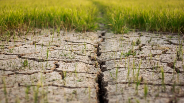 Togo: Losses induced by climate hazards stood at CFA26 billion in 2020