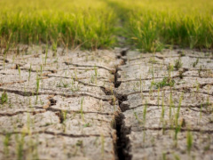 Togo: Losses induced by climate hazards stood at CFA26 billion in 2020